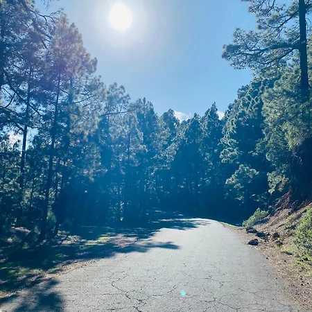 Lejlighed Atlantico *