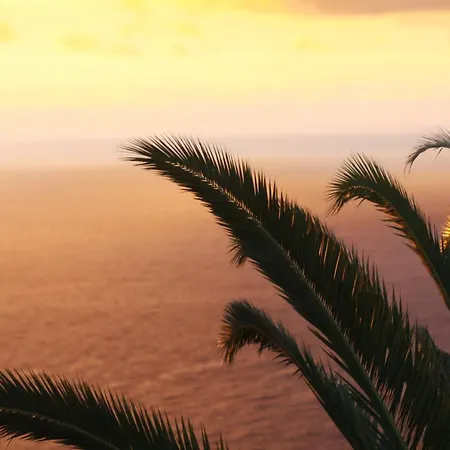 Atlantico Santa Cruz de Tenerife