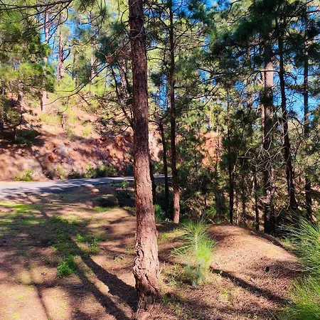 Atlantico * Santa Cruz de Tenerife