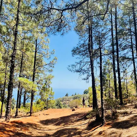 Atlantico Daire Santa Cruz de Tenerife