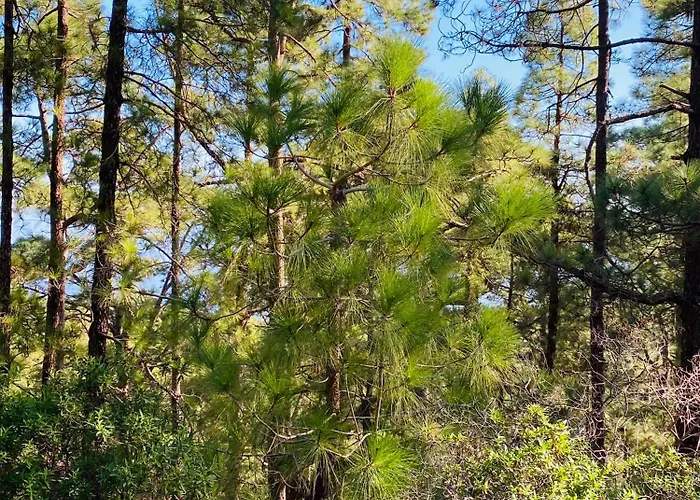 Atlantico Apartmán *