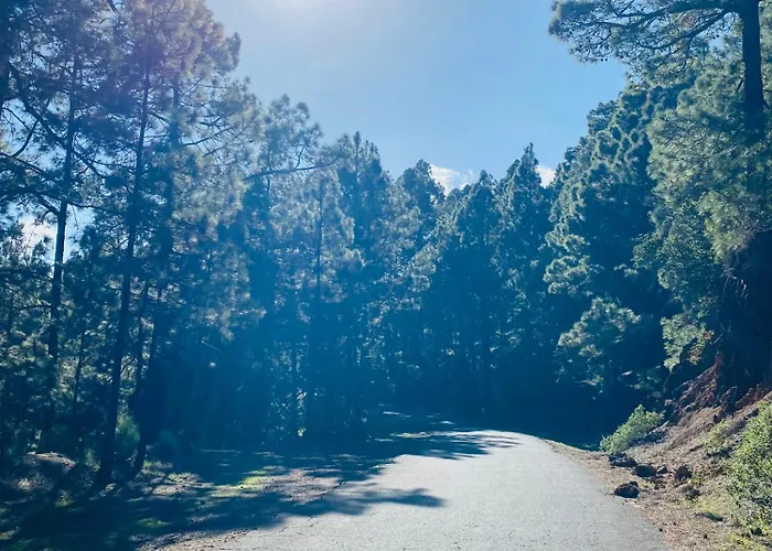 Apartmán Atlantico *