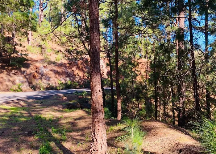 Atlantico * Santa Cruz de Tenerife