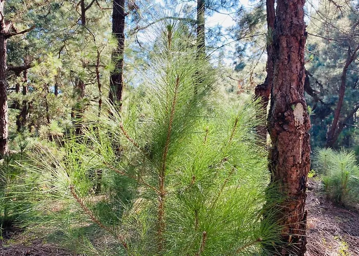 Apartmán Atlantico Santa Cruz de Tenerife