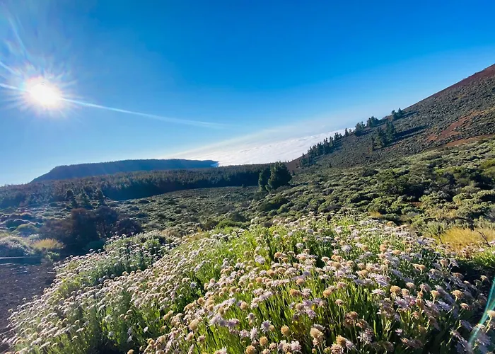 Atlantico Apartmán *